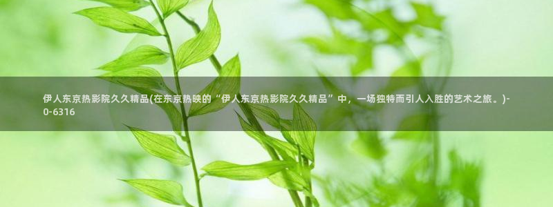 久久伊人av影院