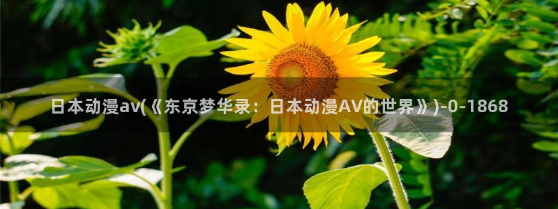 动漫黄片