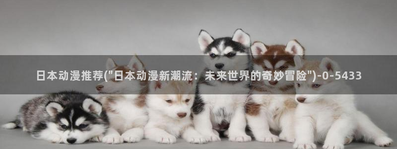 z动漫