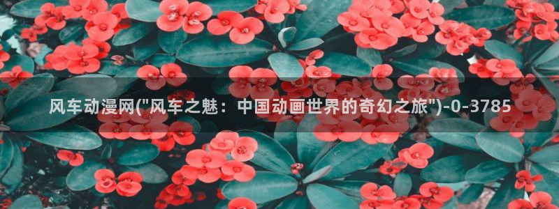 完美世界动漫